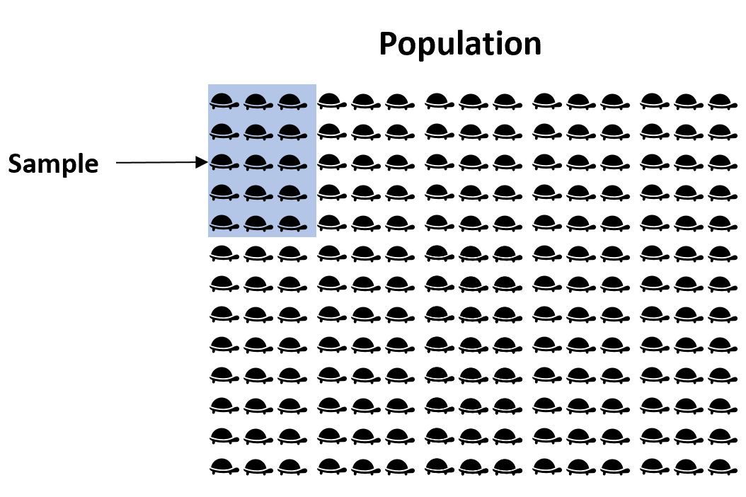 Example of point estimation