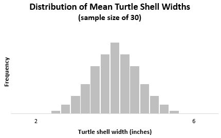 Central limit theorem for sample size 30